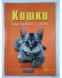 Кошки: Содержание и уход