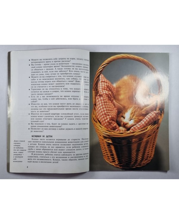 Кошки: Содержание и уход