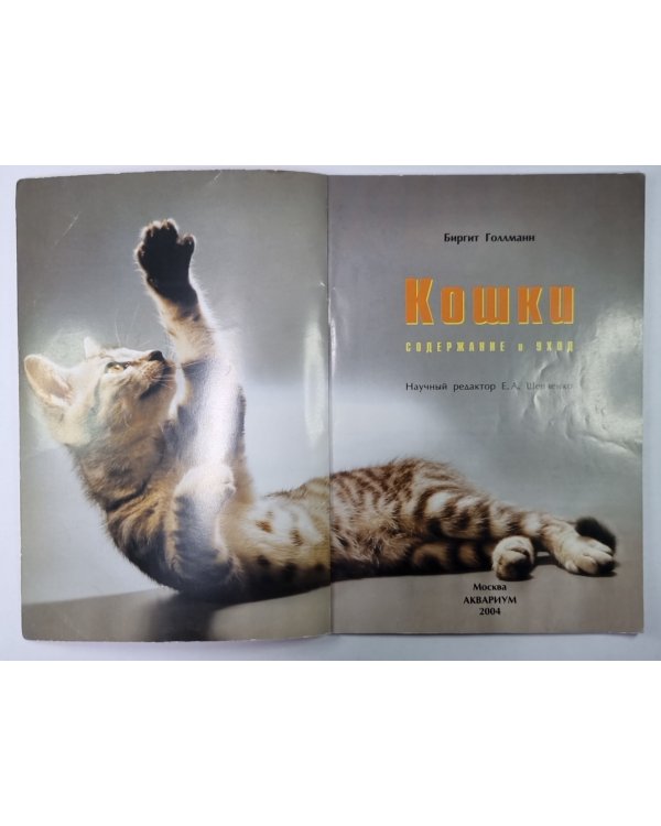 Кошки: Содержание и уход