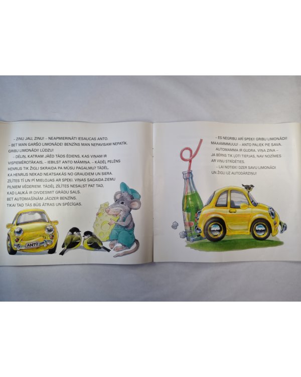 Autopuika Anto