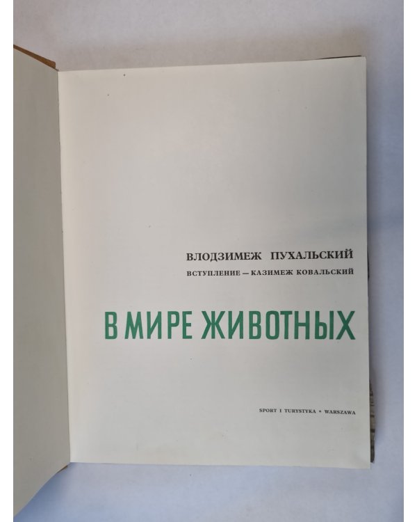 В мире животных