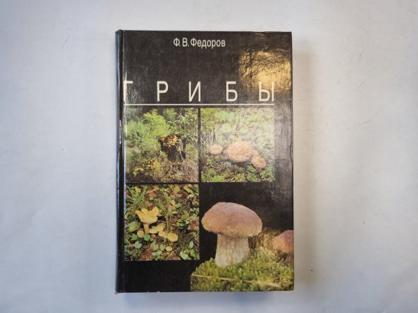 Грибы