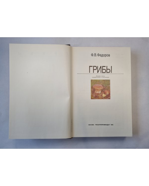 Грибы