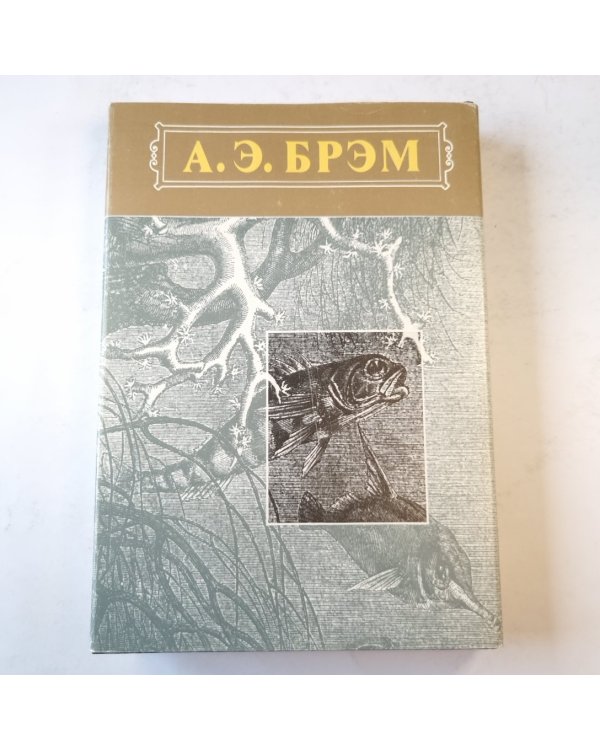 Жизнь животных. Пресмыкающиеся. Земноводные. Рыбы. Беспозвоночные. Том 3