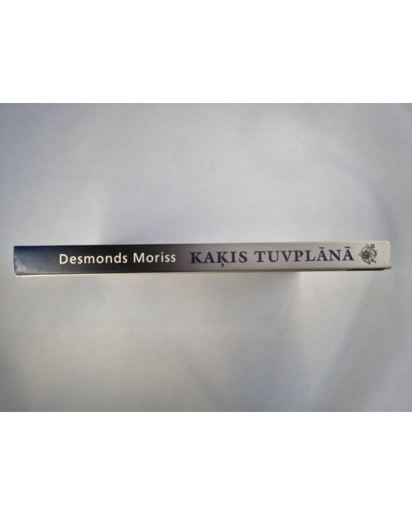 Kaķis tuvplānā