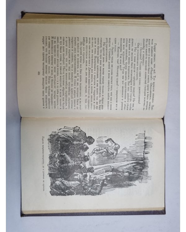 Дополнительное изображение книги «Приключения Тома Сойера. Приключения Гекльберри Финна»