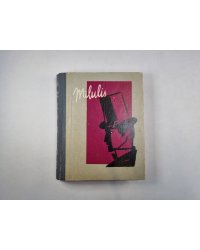 Mīlulis