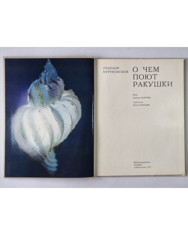 О чем поют ракушки