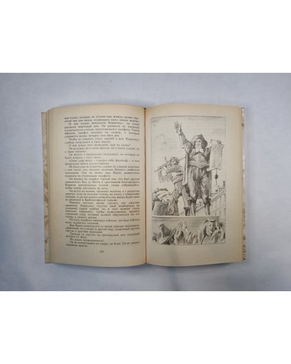 Учитель фехтования. Черный тюльпан
