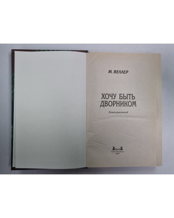 Хочу быть дворником. Книга рассказов