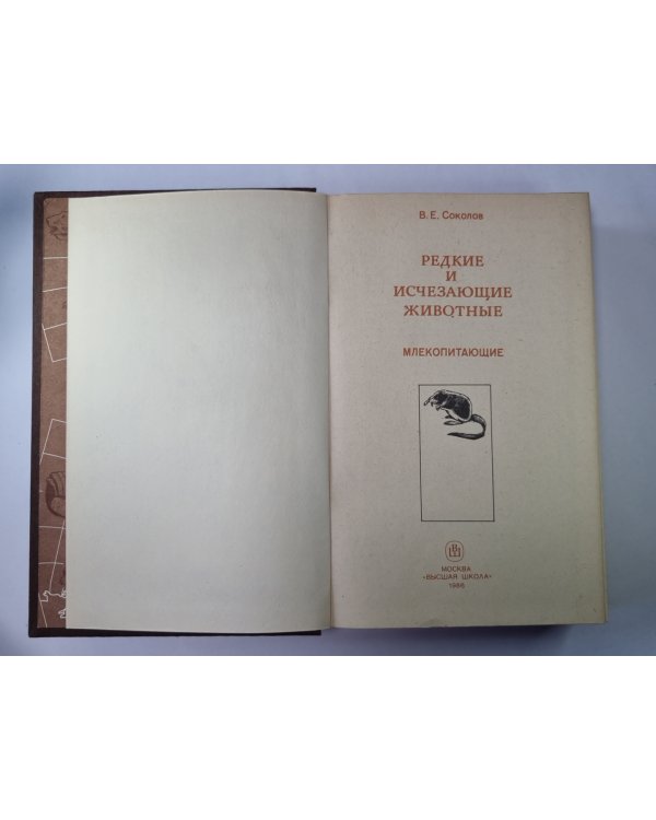 Редкие и исчезающие животные. Млекопитающие