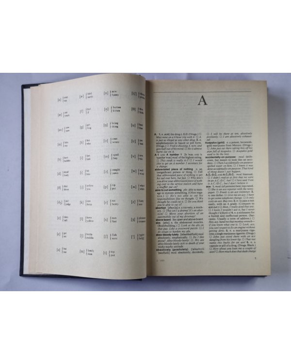 Dictionary of american slang / Словарь американского сленга (ENG)
