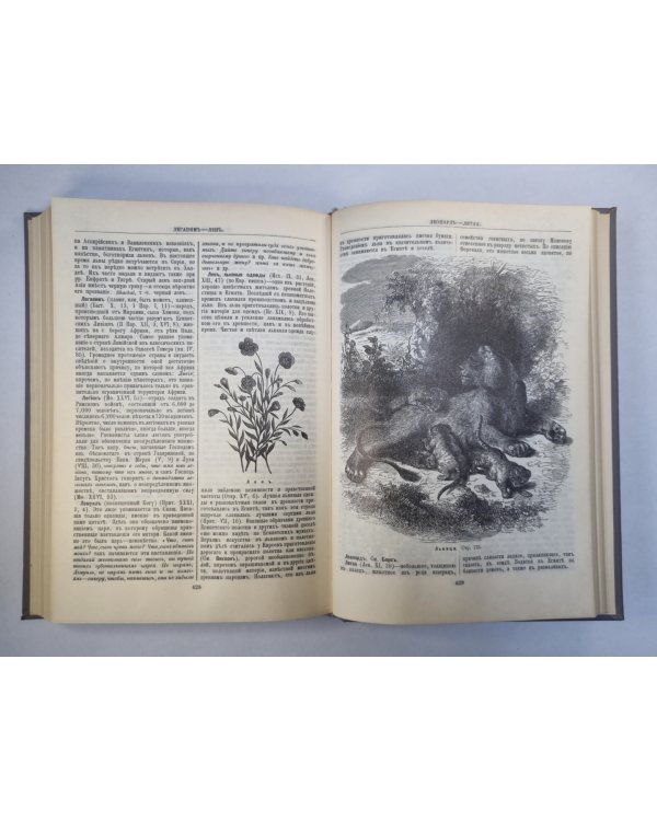 Библейская энциклопедия. Книга 1