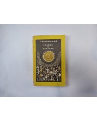 Солнце в декабре
