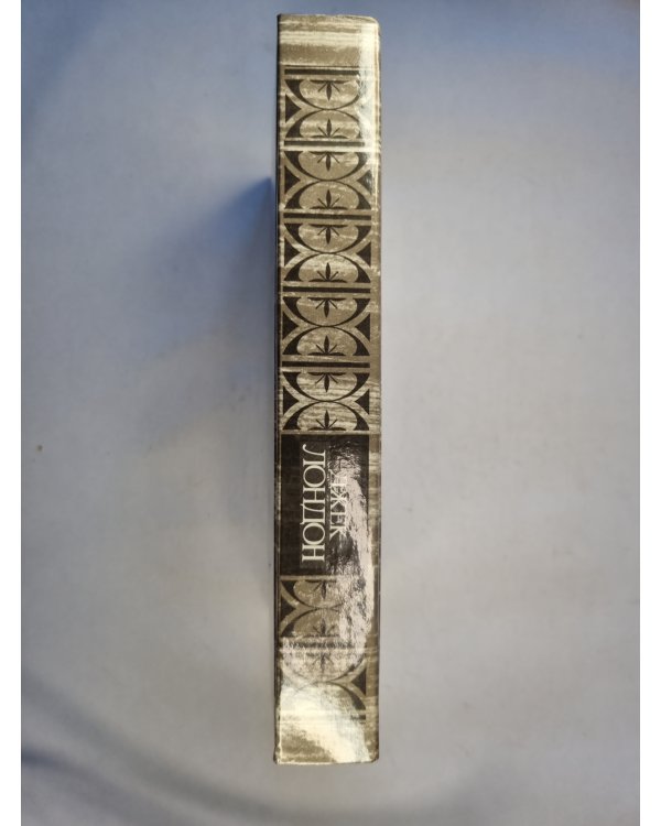 Железная пята. Время не ждет