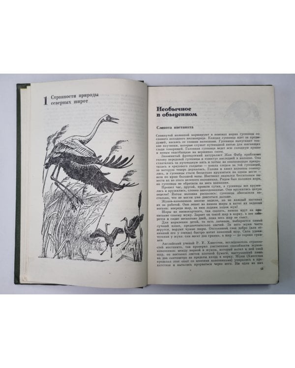 Дополнительное изображение книги «Причуды природы»