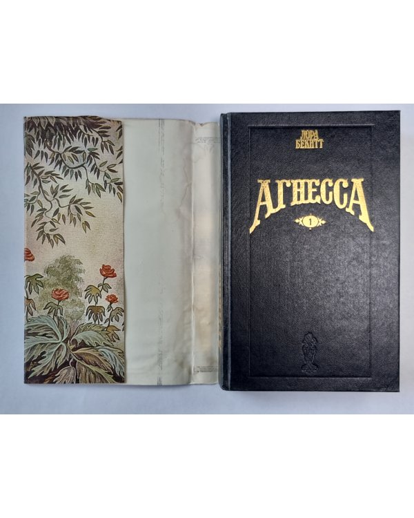 Агнесса. Книга 1