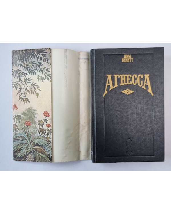 Агнесса. Книга 2