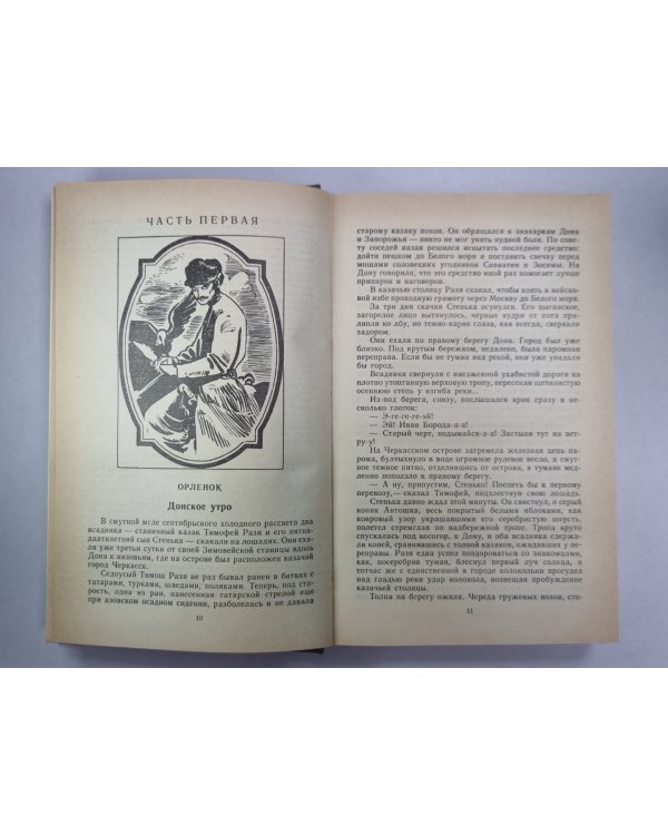 Степан Разин. В 2-х книгах. Книга 1