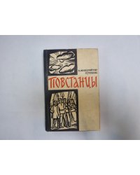 Повстанцы