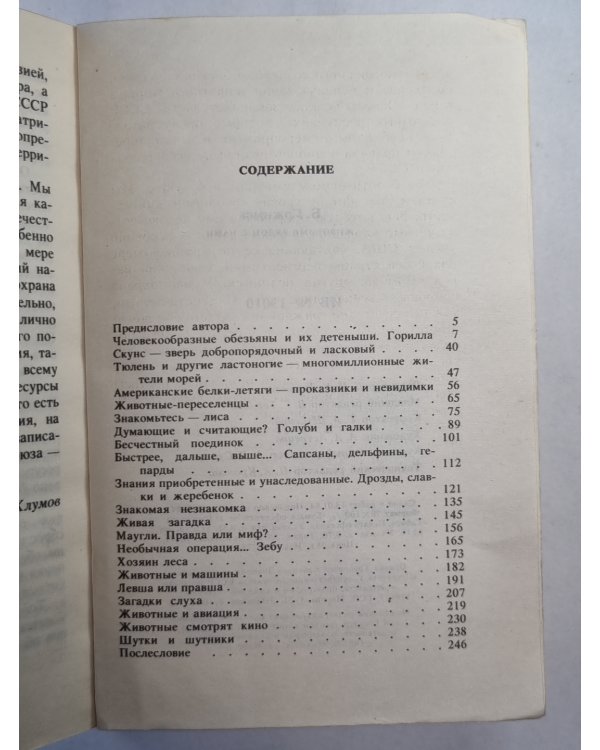 Животные рядом с нами