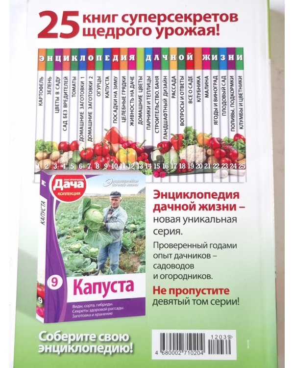 Огурцы