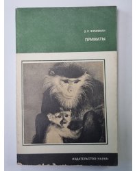 Приматы