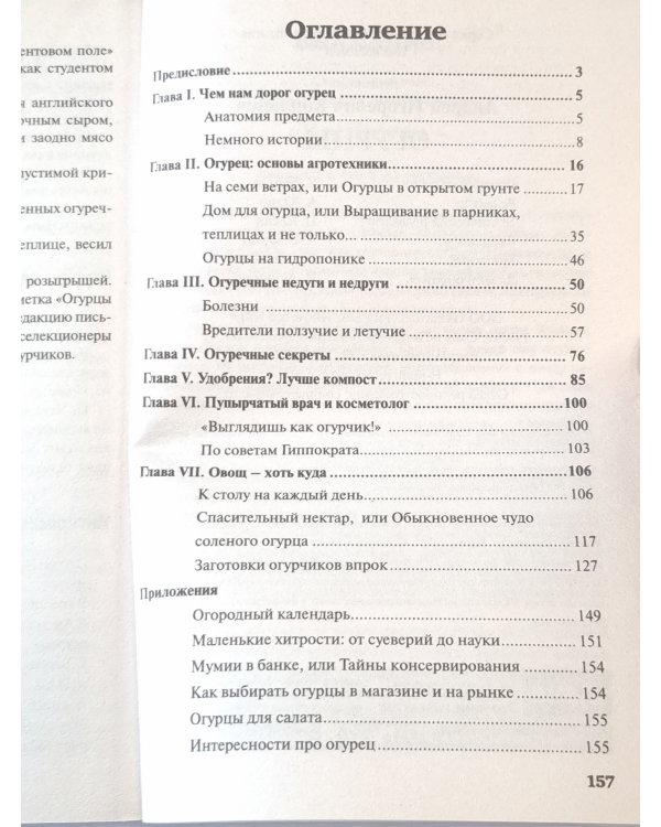 Огурцы