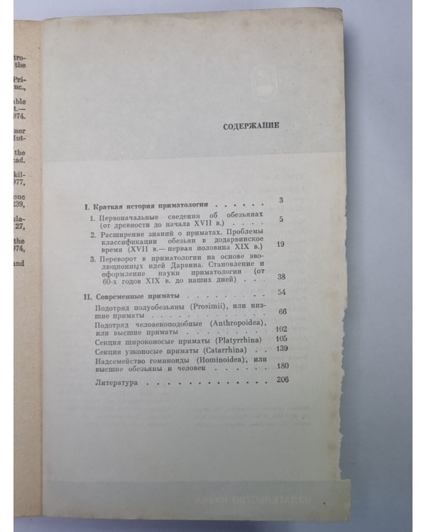Приматы