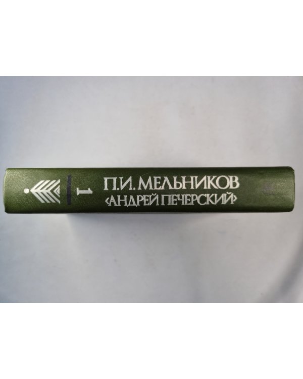 В лесах. Роман в 2-х книгах. Книга первая