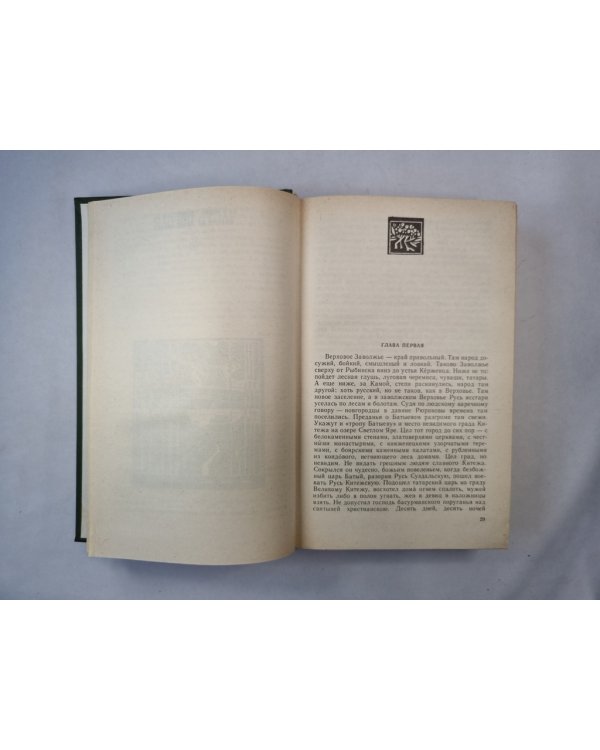 В лесах. Роман в 2-х книгах. Книга первая