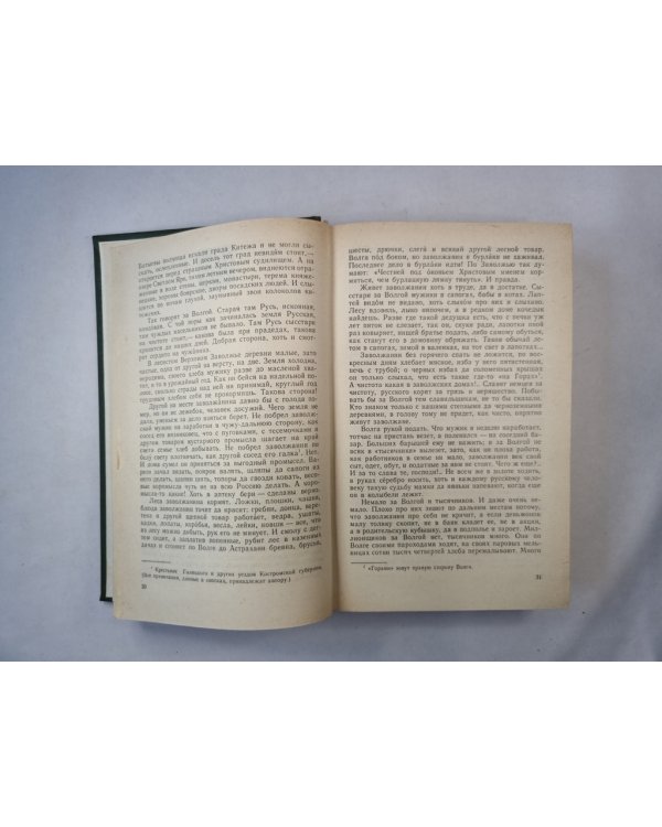 В лесах. Роман в 2-х книгах. Книга первая
