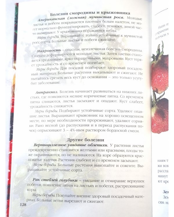 Ягодные культуры на вашем участке