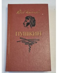 Пушкин. Роман