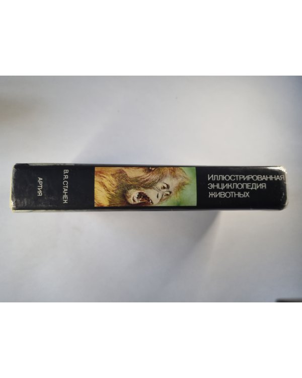 Иллюстрированная энциклопедия животных
