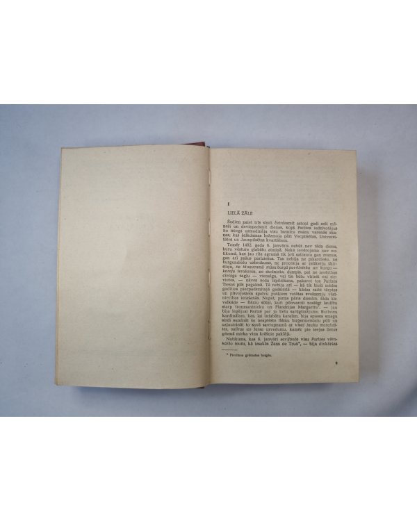 Parīzes Dievmātes katedrāle. Romāns. (LAT)