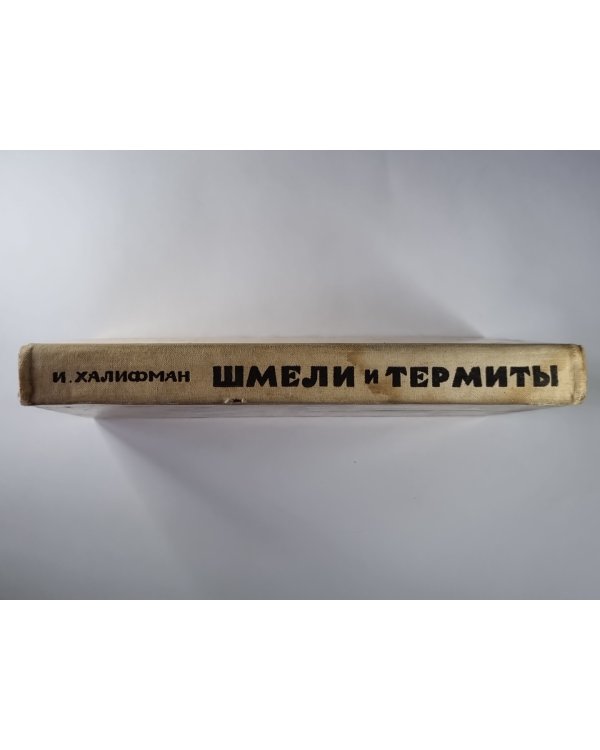 Шмели и термиты