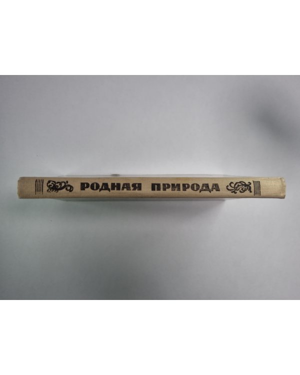 Стихи русских поэтов