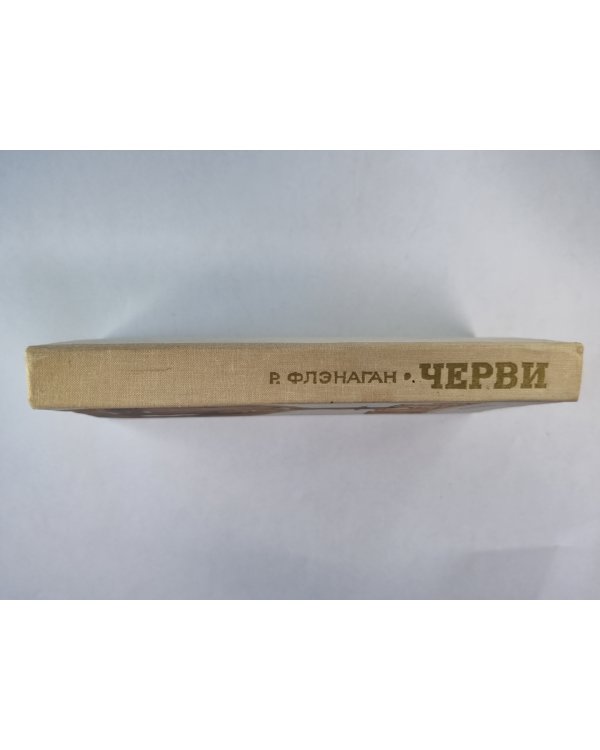 Черви