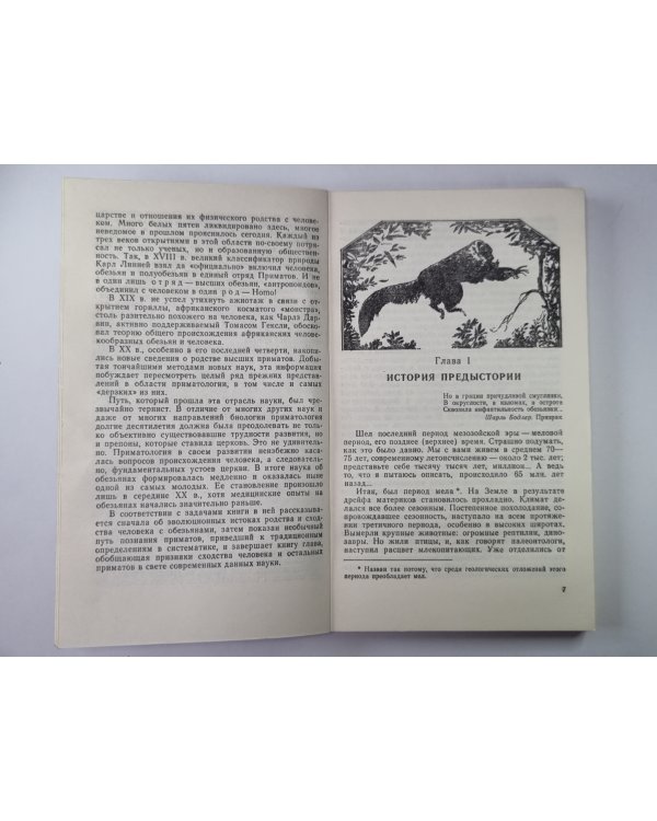 Занимательная приматология. Этюды о природе обезьян