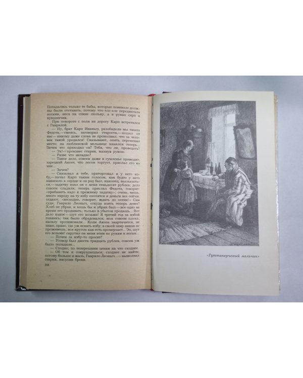 Петербургские шарманщики. Деревня. Антон-Горемыка. Бобыль. Капельмейстер Сусликов. Пахатник и бархатник. Гуттаперчевый мальчик