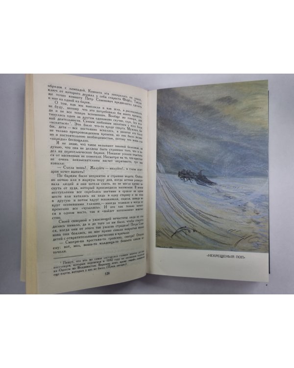 Зимний день. Дама и фефела. Загон. Н.С.Лесков. Собрание сочинений в 12-и т. . Том 12