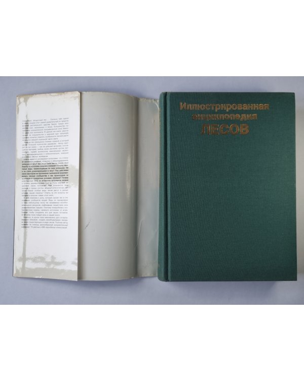 Иллюстрированная энциклопедия лесов