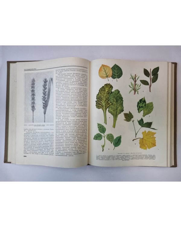 Детская энциклопедия. Том 6