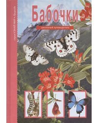 Бабочки.Школьный путеводитель (6+)