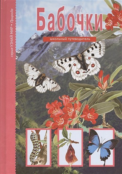 Бабочки.Школьный путеводитель (6+)