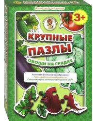 Овощи на грядке