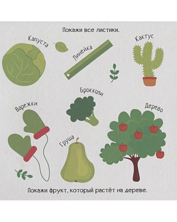 Цвета