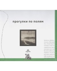 Прогулки по полям +с/о