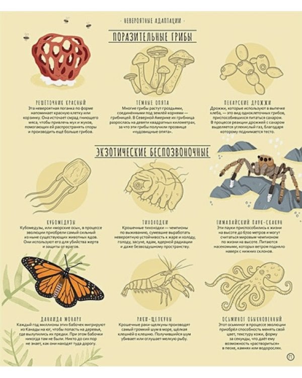 Чудеса эволюции.Путешествие во времени (худож.У.Робинс)